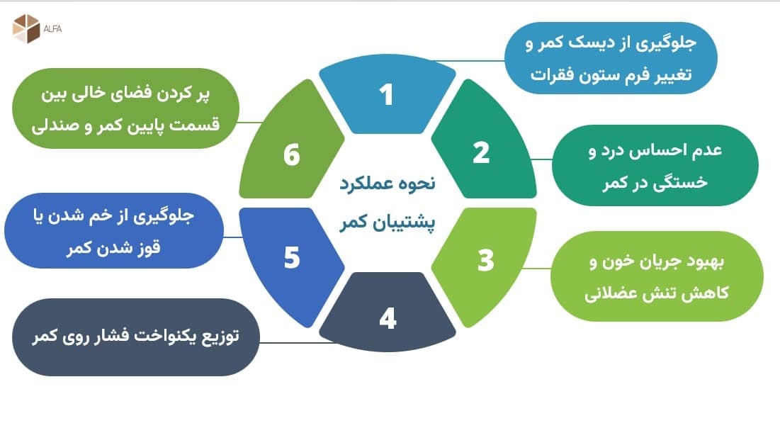 عملکرد پشتیبان کمر